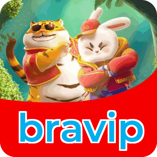 Equipe de suporte ao cliente da bravip